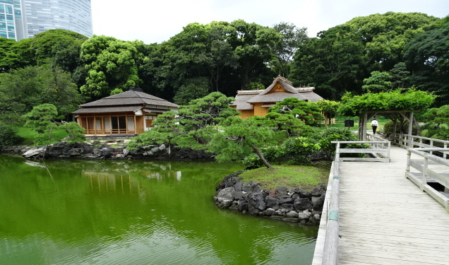 travel,japan,tokyo.tuorism,recommendation