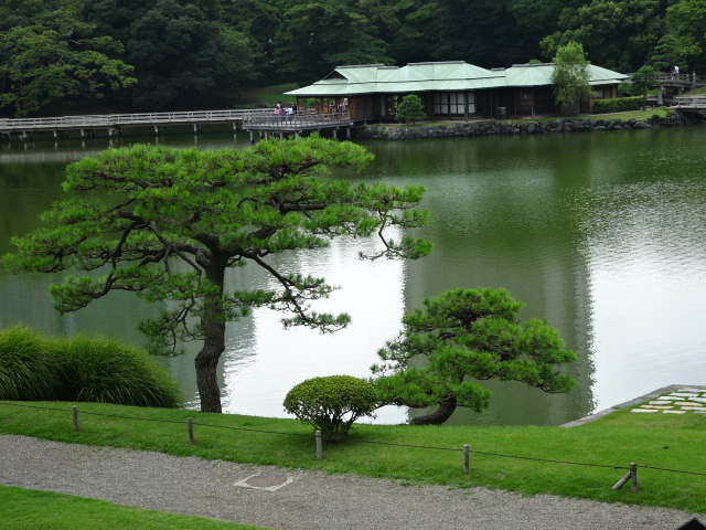 travel,japan,tokyo.tuorism,recommendation