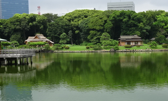 travel,japan,tokyo.tuorism,recommendation